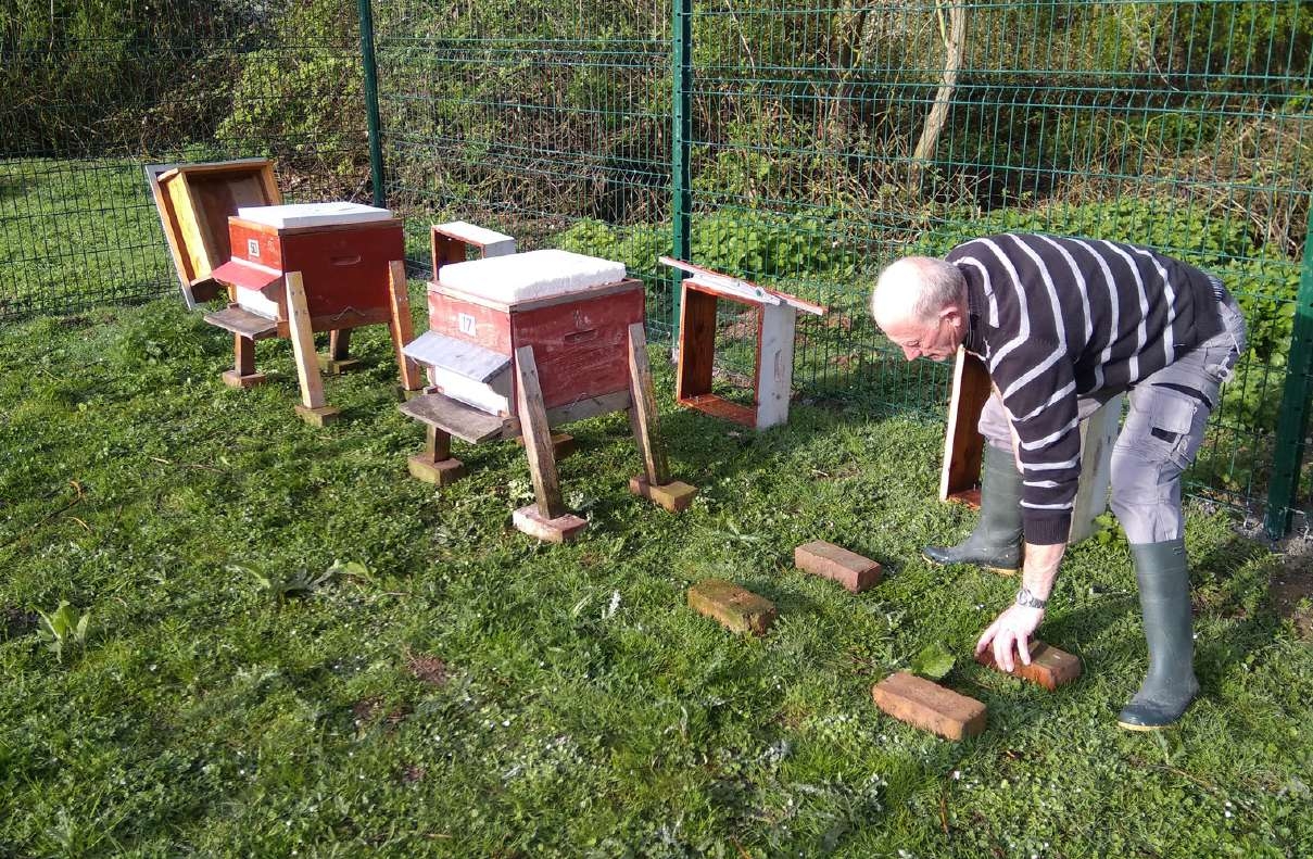 installation ruches - étangs du pont ballot.jpg