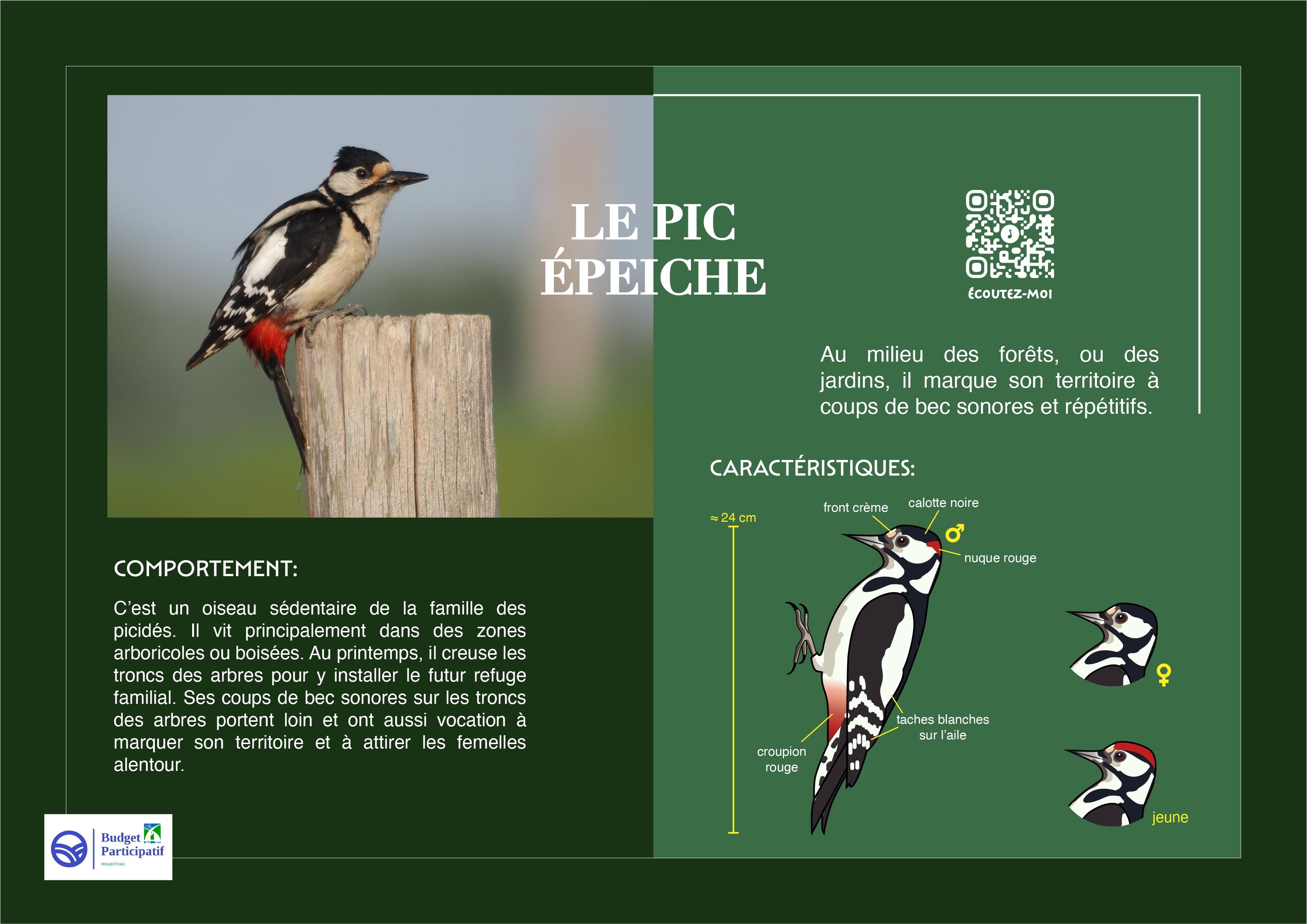 obersvatoire ornithologique - plaque BP 2022.jpg