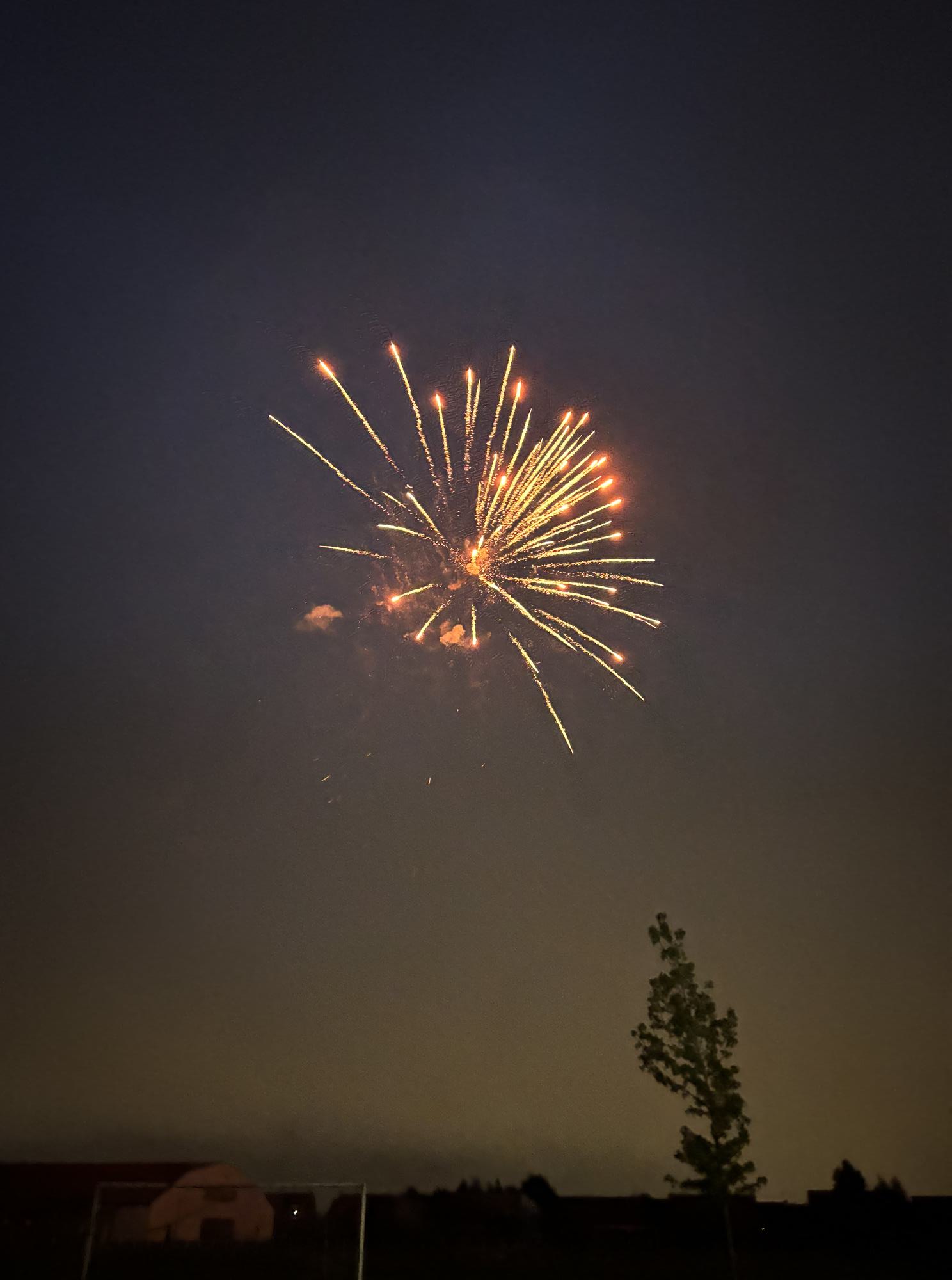 14 juillet 16.jpg