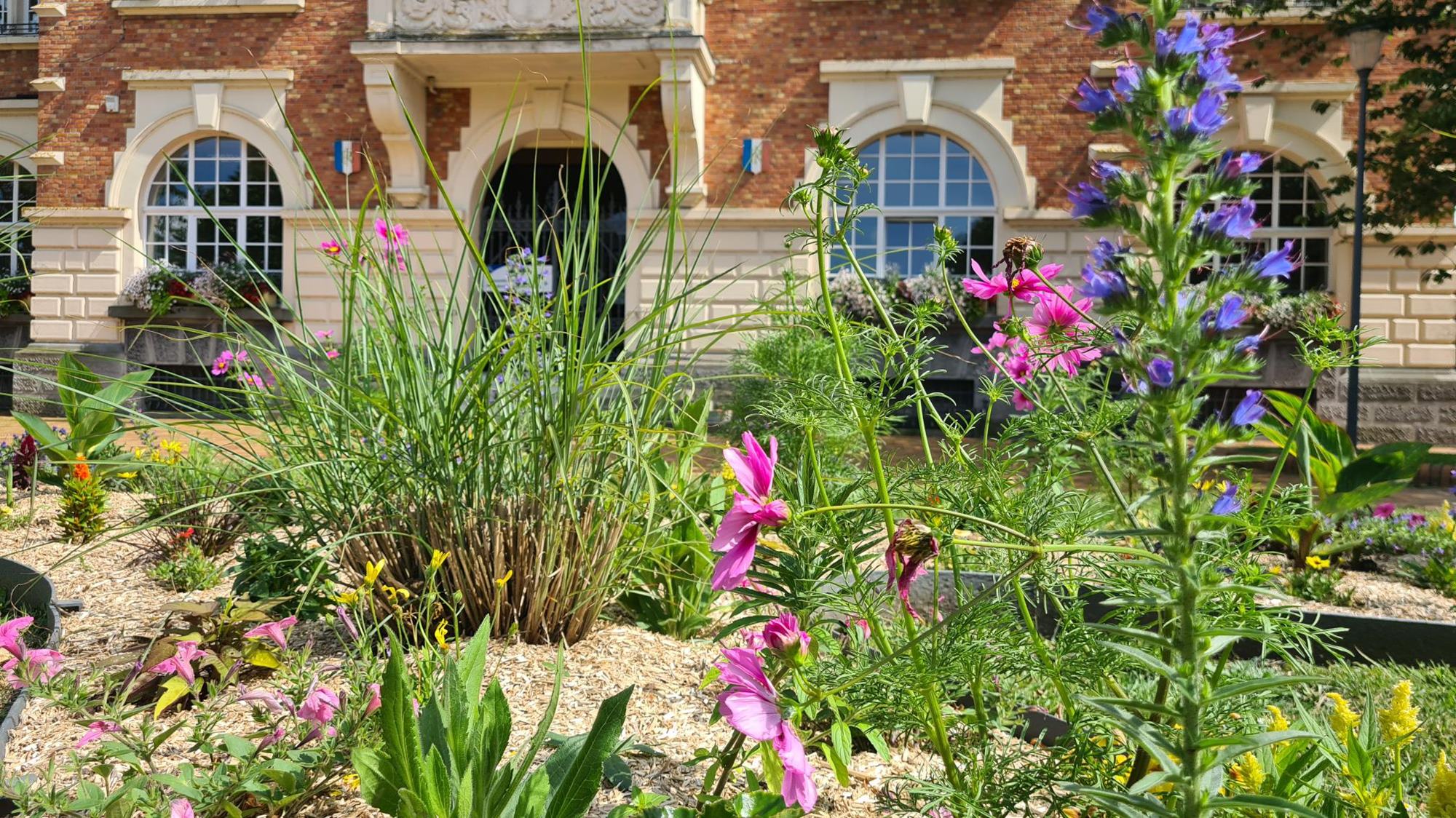 Transition eco - ressource en eau _1_.jpg