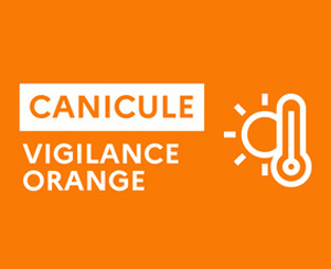 canicule-actu.jpg