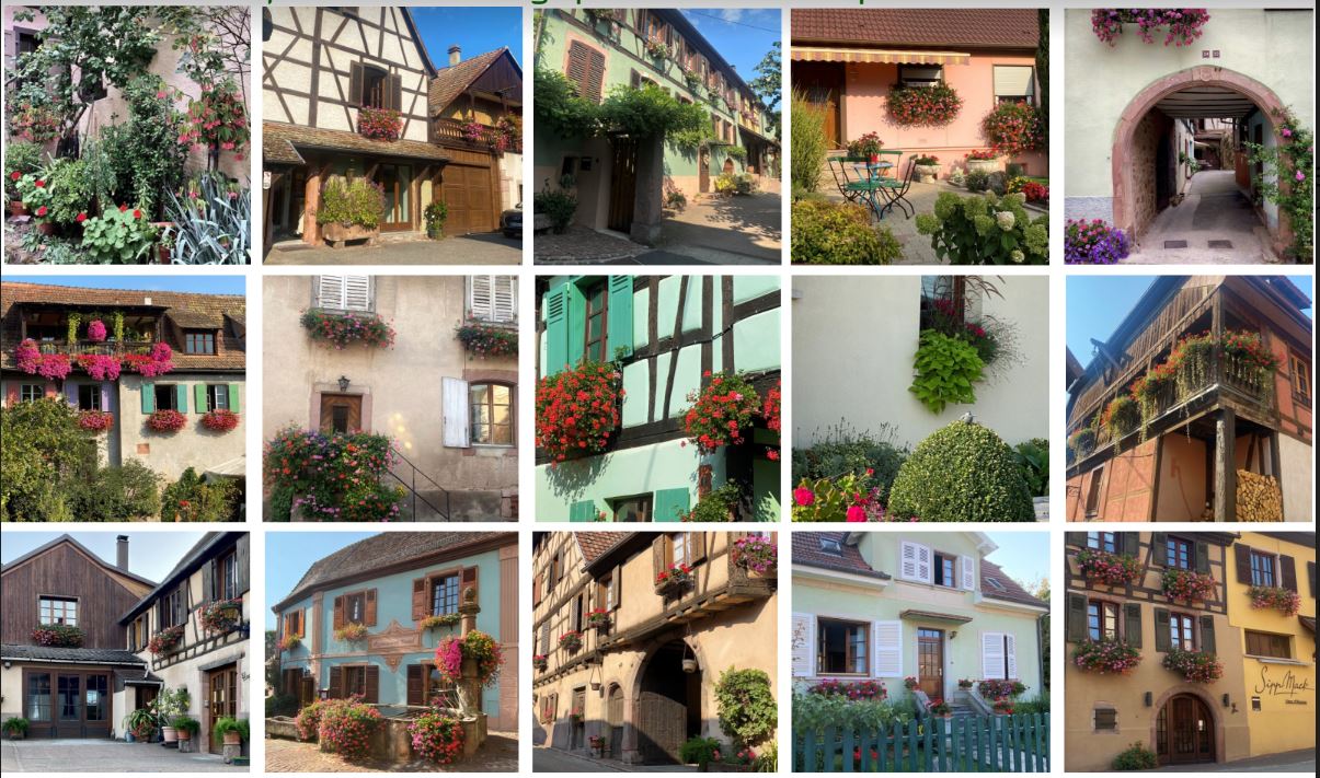 Maisons fleuries 3.JPG