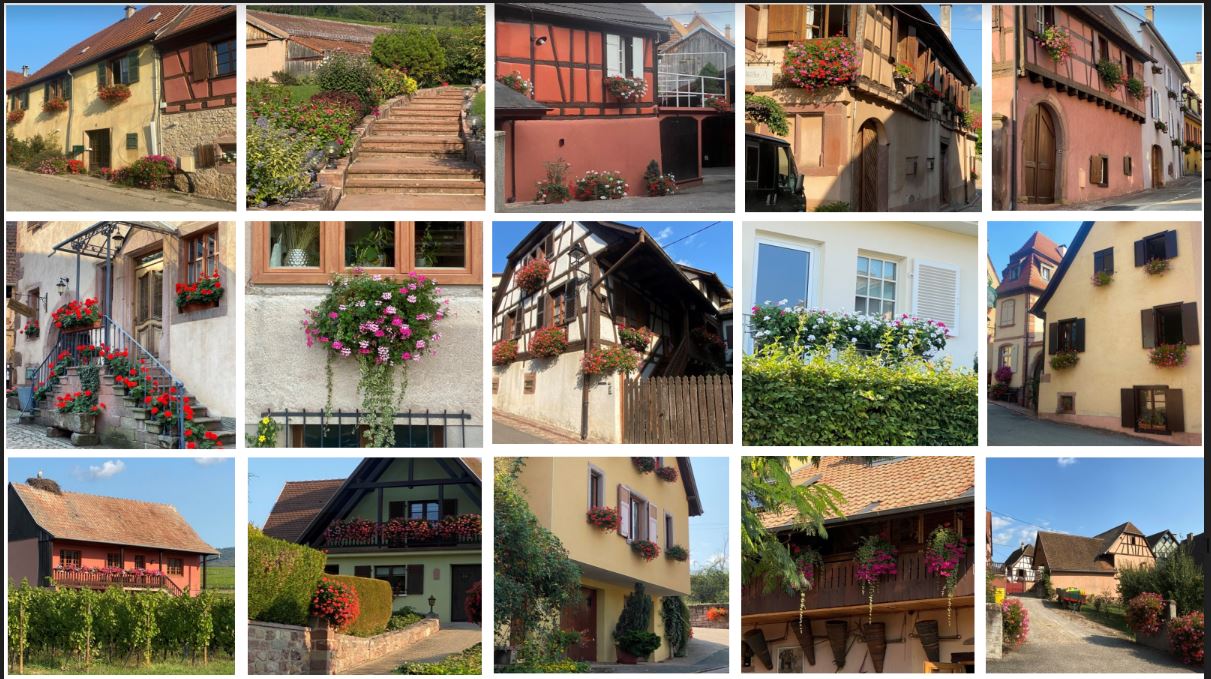 Maisons fleuries 1.JPG