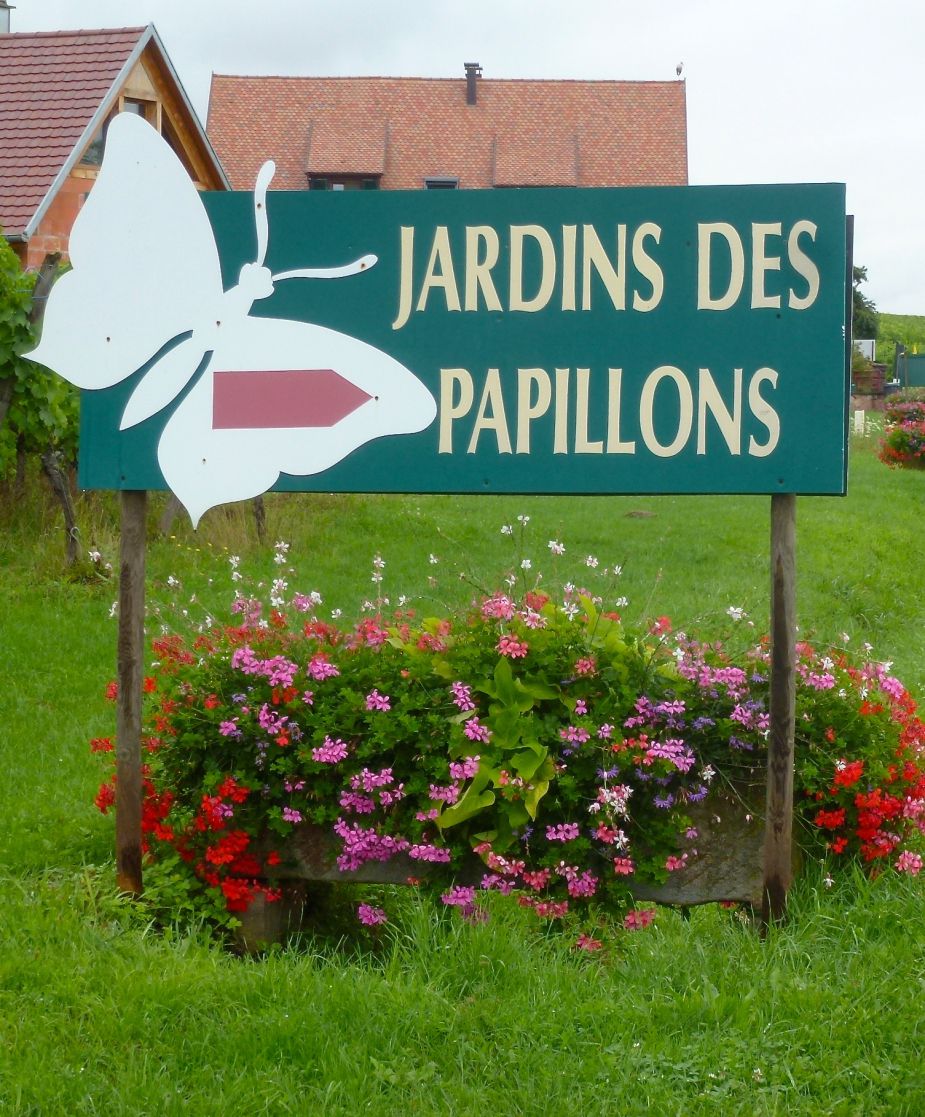JARDINS PAPILLONS.jpg
