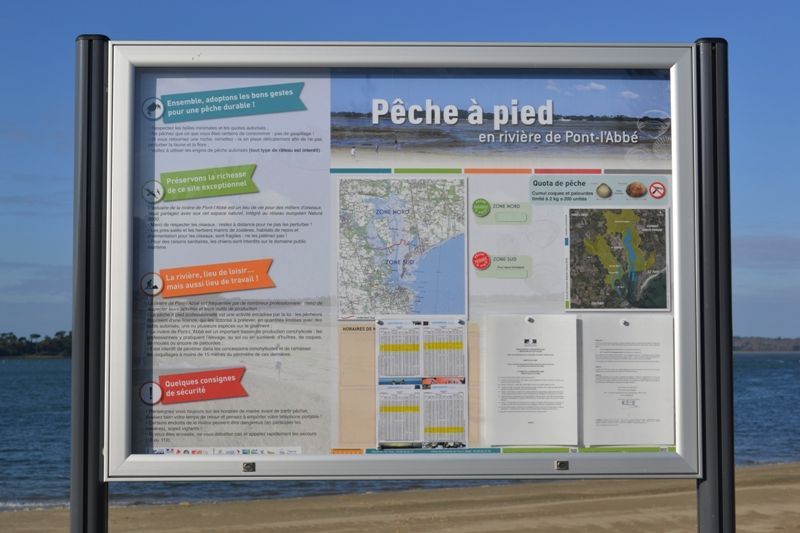 pêche à pied de loisir 1.jpeg
