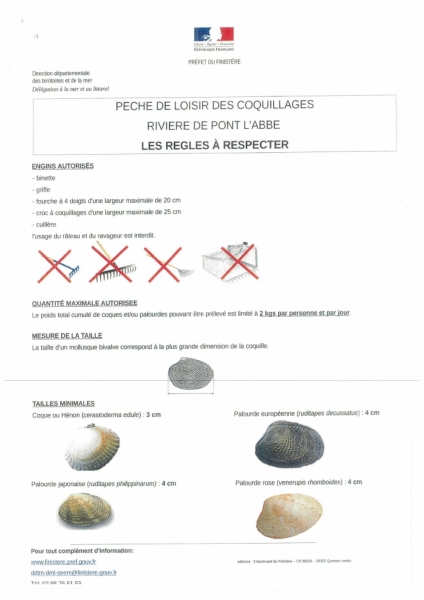 pêche à pied de loisir 2.jpg