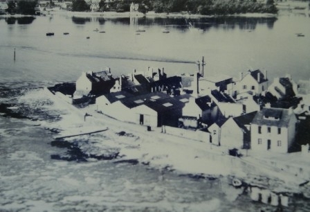 Les conserveries de sardines.jpg