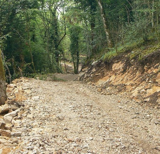 forêt communale la chailleuse plan de situation7.jpg