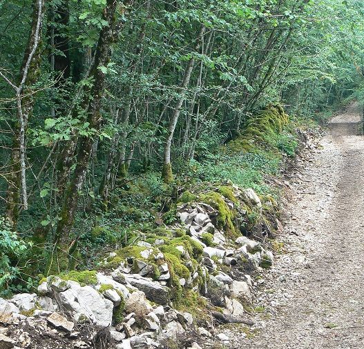 forêt communale la chailleuse plan de situation9.jpg