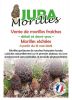 Vente de morilles fraîches - morilles séchées.jpg