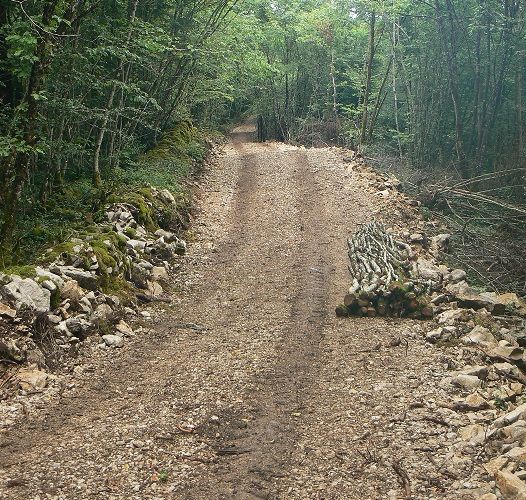 forêt communale la chailleuse plan de situation10.jpg