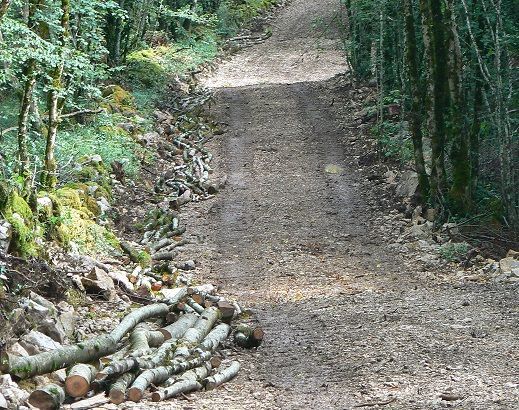 forêt communale la chailleuse plan de situation11.jpg