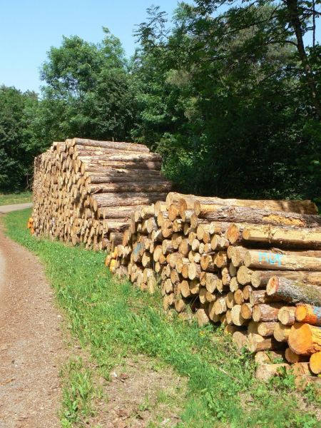 forêt communale la chailleuse plan de situation.jpg