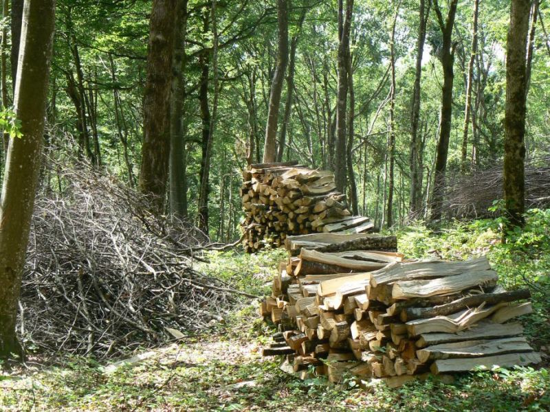 forêt communale la chailleuse plan de situation5.jpg