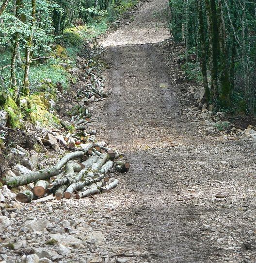 forêt communale la chailleuse plan de situation8.jpg