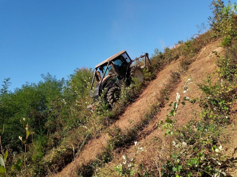 forêt communale la chailleuse plan de situation2.jpg