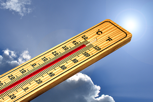 canicule 2