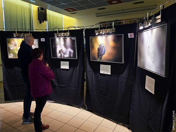 PDLP Exposition.jpg