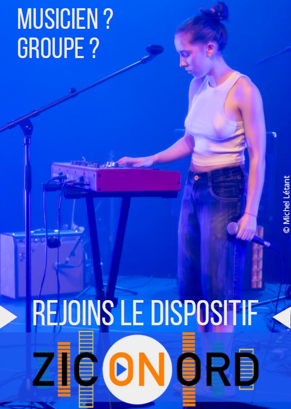 Ziconord flyer.jpg