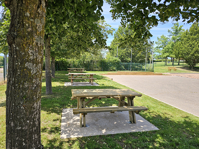 Végétalisation des cours d_école_700.jpg