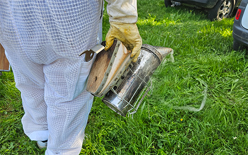 souffleur à abeilles.jpg