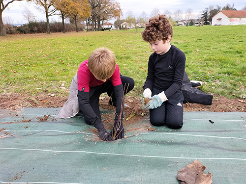 Plantation bocagère 1.jpg