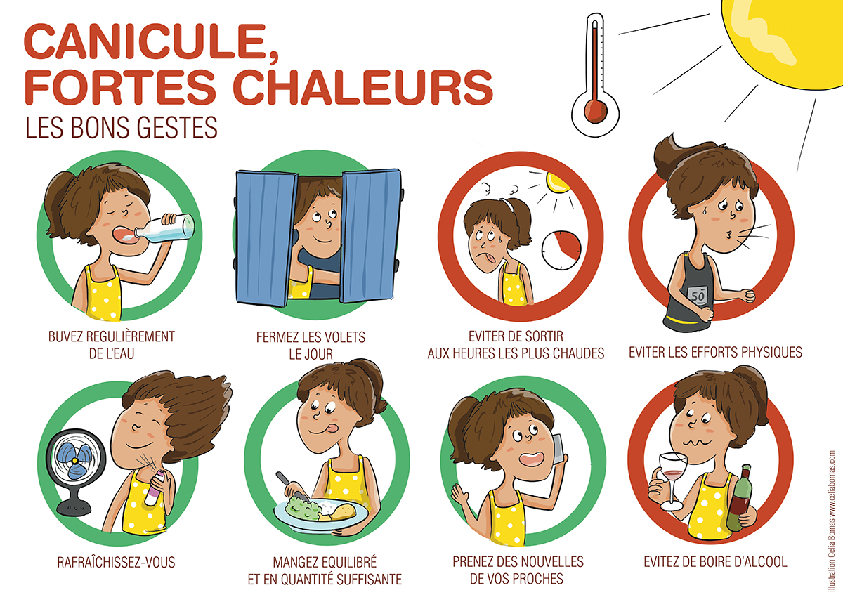 CANICULE - les bons gestes.jpg
