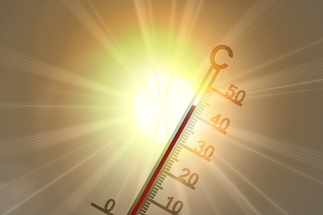 Canicule