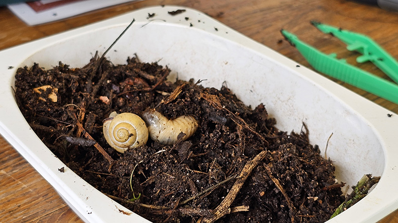 Atelier avec Madeleine Environnement _3_.jpg
