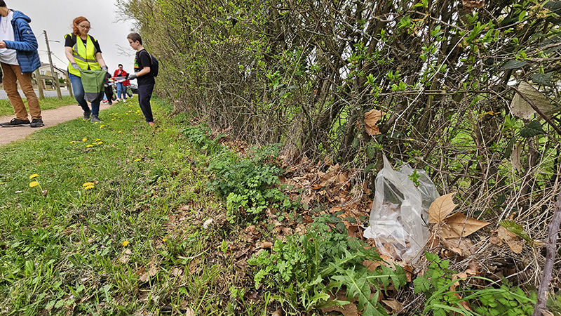 Ramassage des déchets _5_.jpg