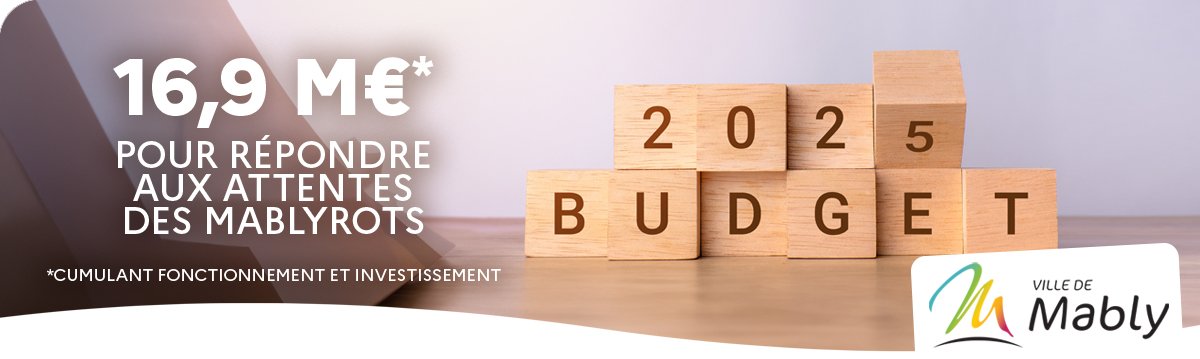 ENTETE_Budget169.jpg