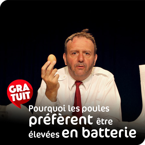 CARRE_Pourquoi les poules.jpg
