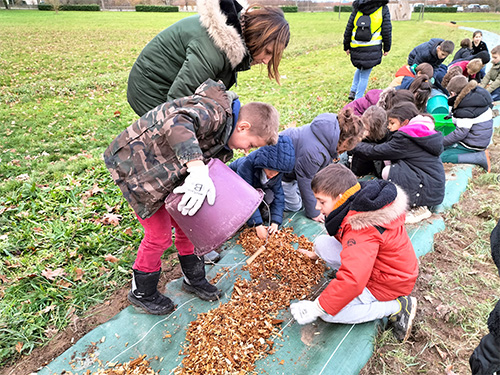Plantation bocagère 4.jpg