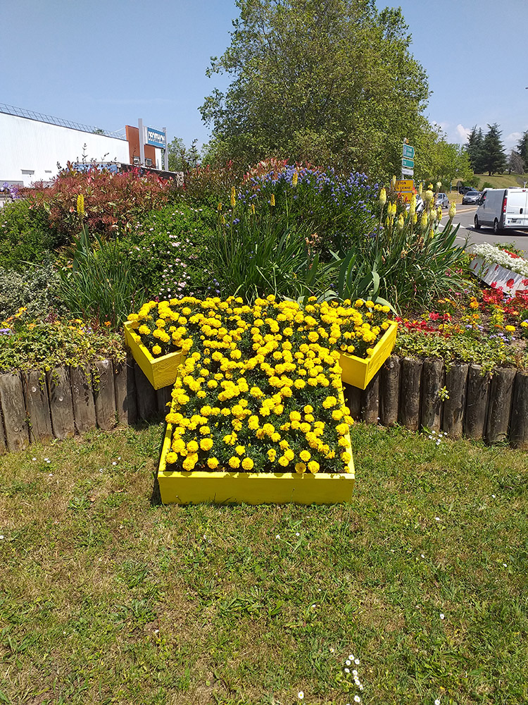 20230602_140650 copie.jpg