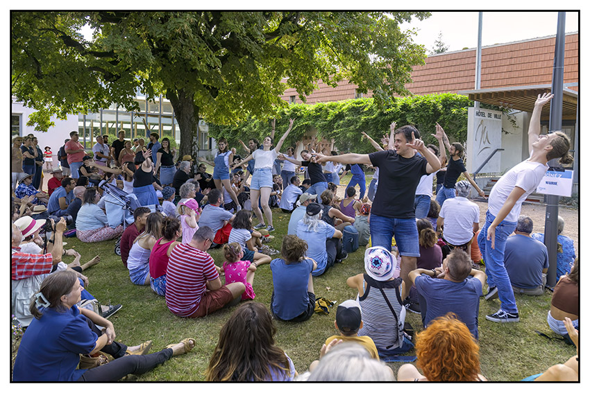 Funky Frogs _c_Michel Létant.jpg