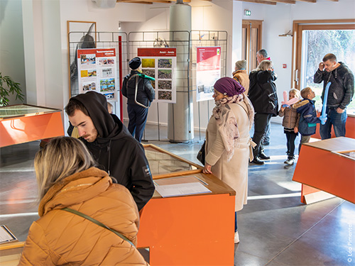 MEF 2025 expositions mairie.jpg