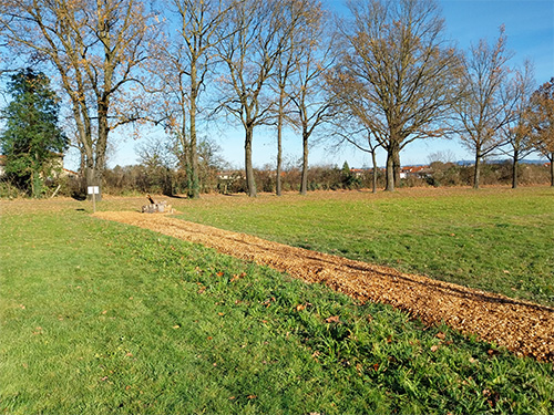 Plantation bocagère 2.jpg