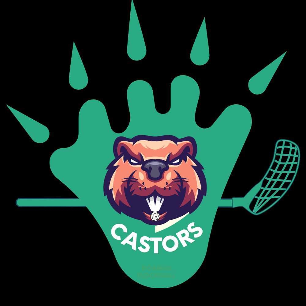 Club de Floorball Roanne - Mably.jpg