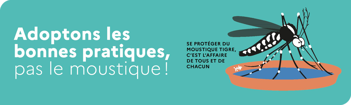 ENTETE_moustique tigre.jpg