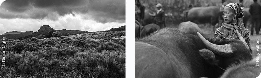 Grands formats inspirés par Sebastiao Salgado.jpg