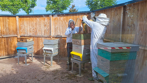 Exportation miel juillet.jpg