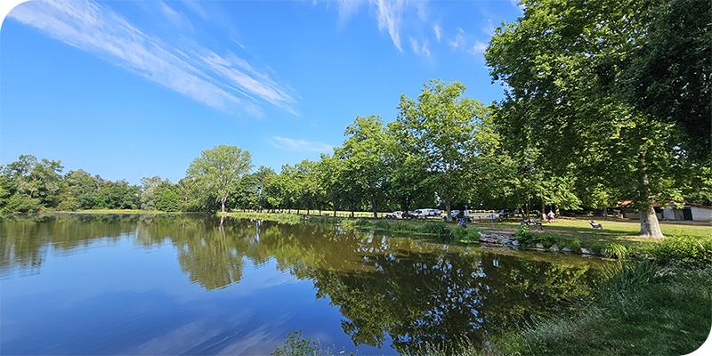 Etang du merlin.jpg