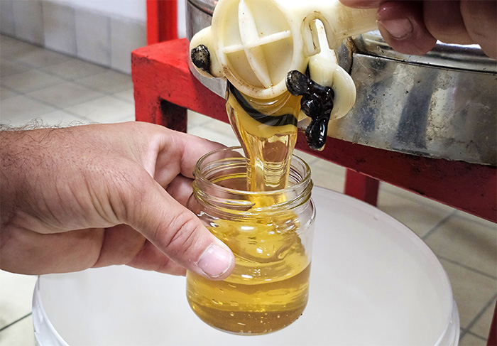 Extraction miel juillet.jpg