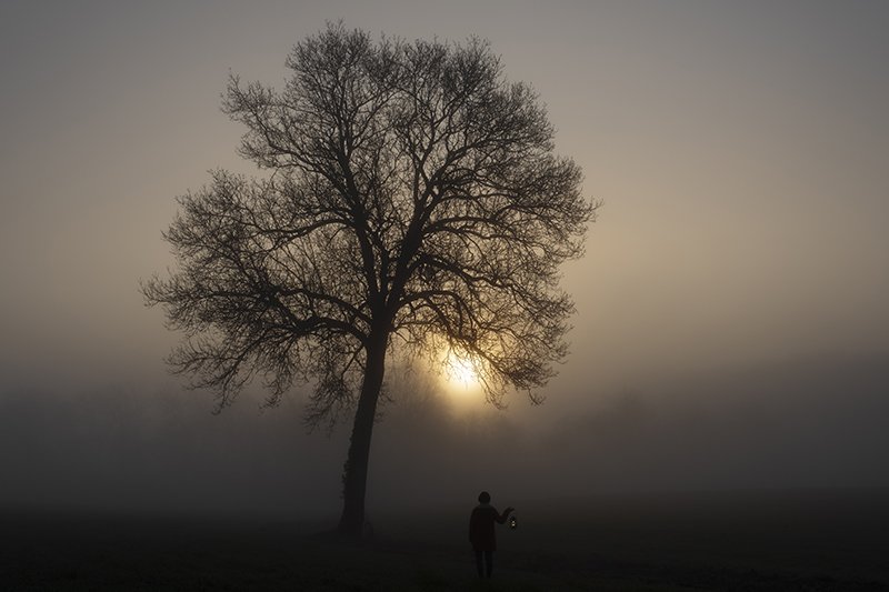 3e PRIX DU JURY - _c_Marie-Lise MARZET.jpg