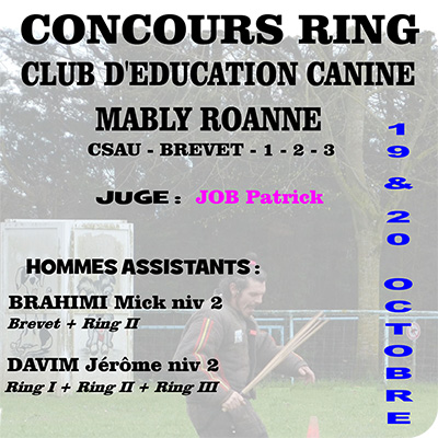 concours ring.jpg