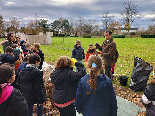 Plantation bocagère 3.jpg