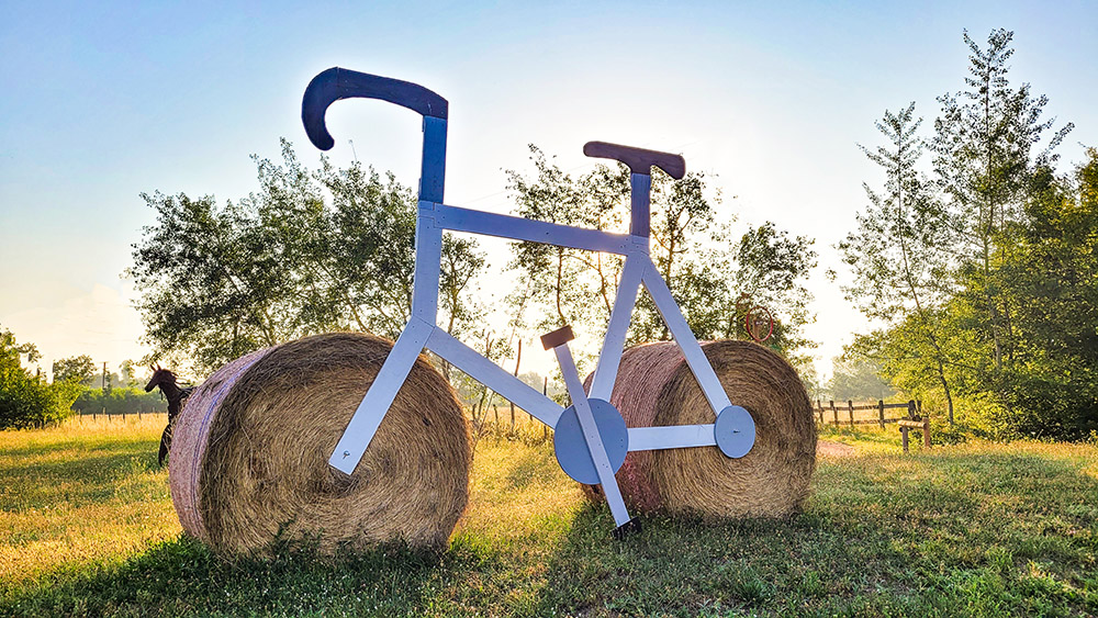 20230711_071748 copie.jpg