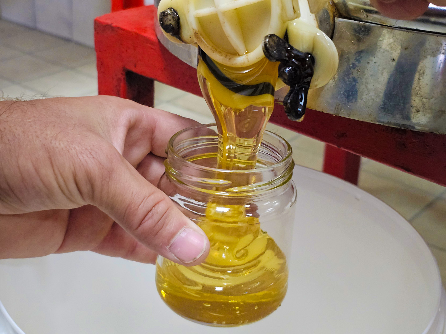 MIEL7.jpg