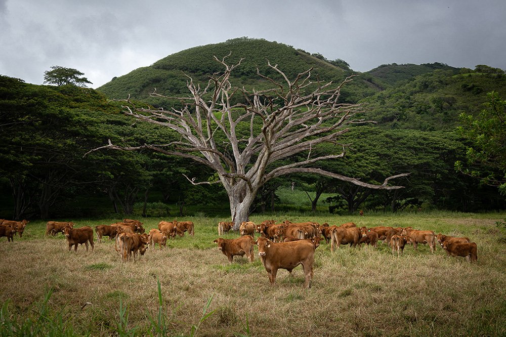 Il faut toujours un instant pour que le temps s_arrête.jpg