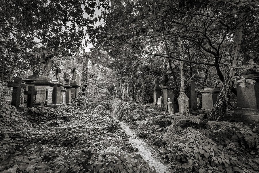 dans les cimetieres.jpg